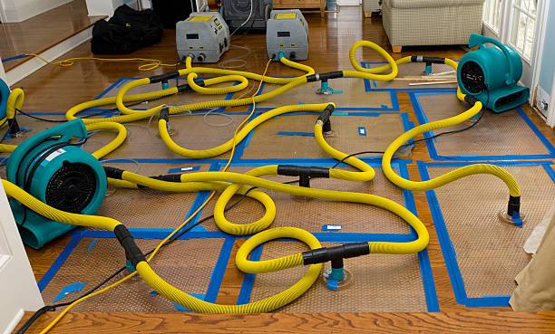Professional Basement Flood Cleanup technician working in West Bloomfield, MI